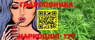 спайс Можга